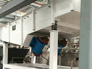 不銹鋼直線振動篩面粉篩分現場,產量5t/h